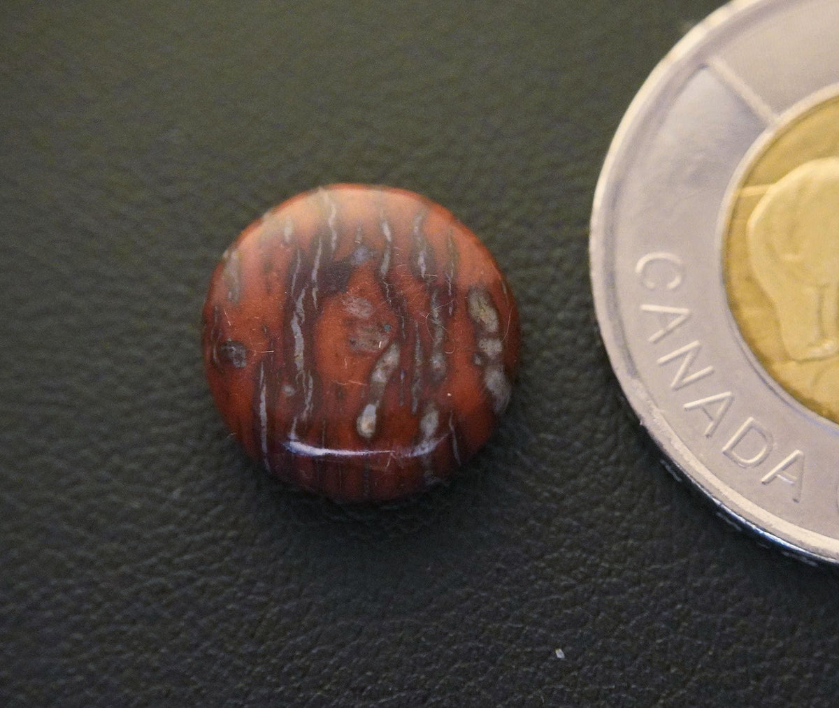 Jasper Cabochon, 14 x 5 mm, Handmade Round, from Newfoundland and Labrador, Canada