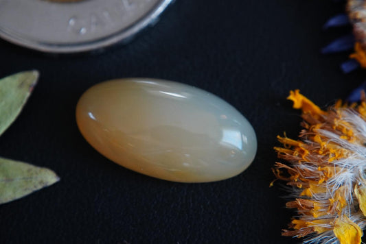 Cabochon en agate cornaline, 20 x 11 mm, ovale fait main, de Colombie-Britannique, Canada