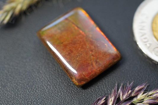 Cabochon d'ammolite, 24 x 18 mm, carré, provenant de l'Alberta, Canada