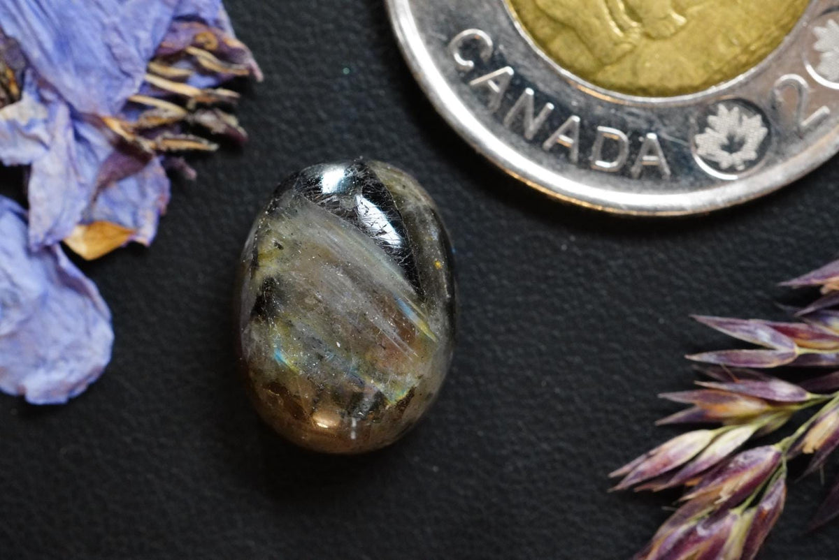 Labradorite Cabochon, 15 x 11 mm Handmade Oval, from Newfoundland and Labrador, Canada