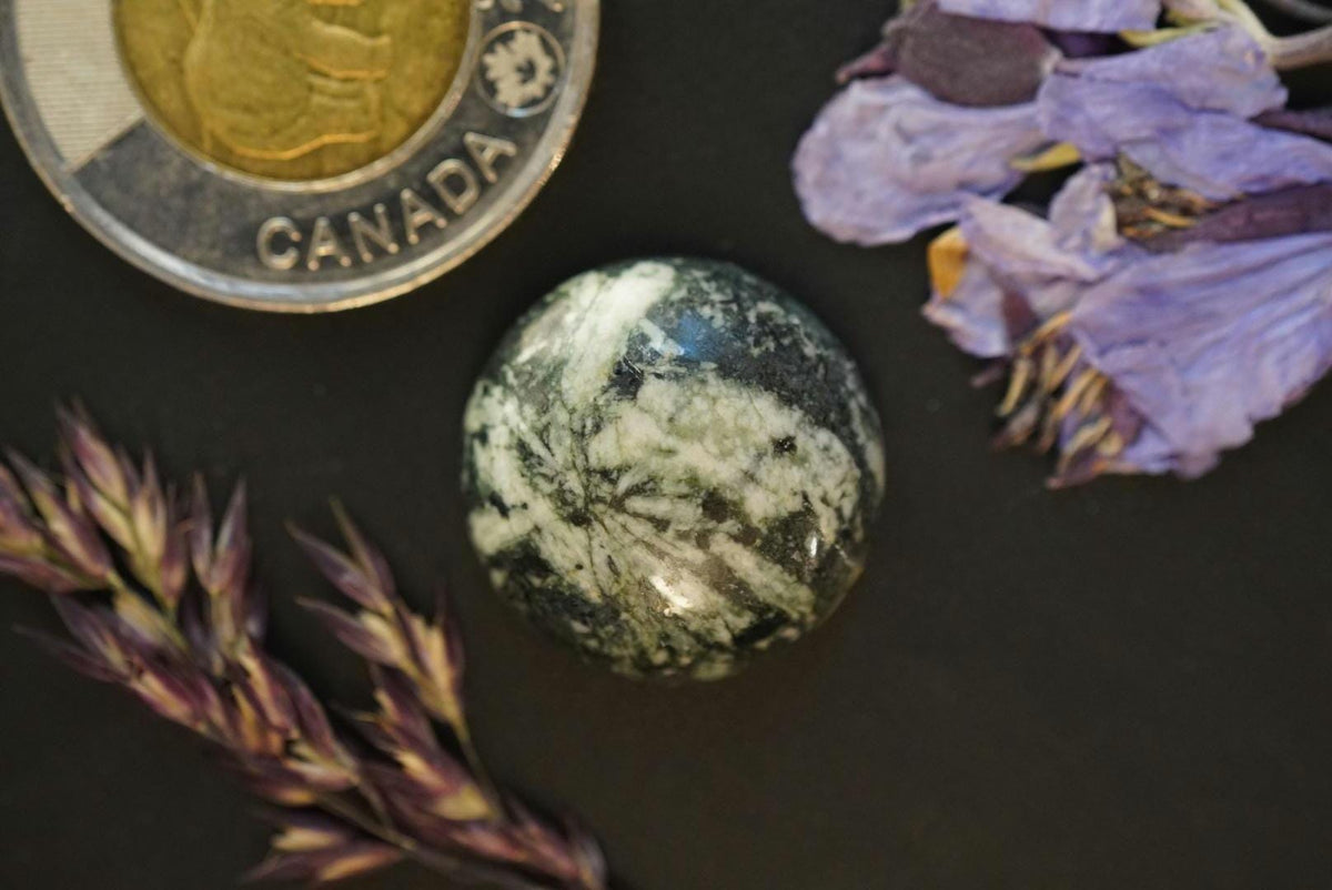 Flower Stone Cabochon, 20 x 7 mm Handmade Round, from British Columbia, Canada