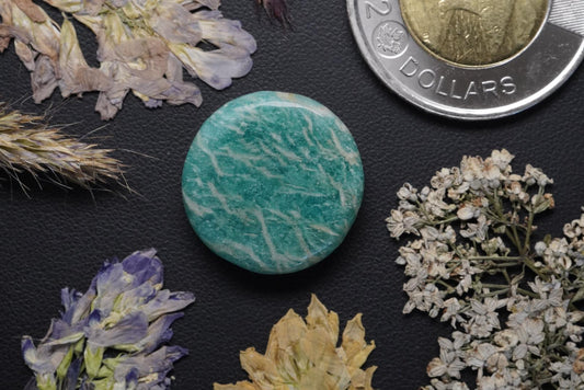 Cabochon en amazonite, 20 x 5,5 mm, rond fait main, du Québec, Canada