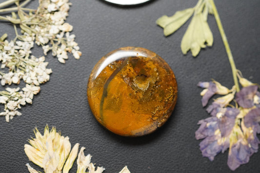 Cabochon en jaspe agate, 23 x 5 mm, rond fait main, provenant de Colombie-Britannique, Canada