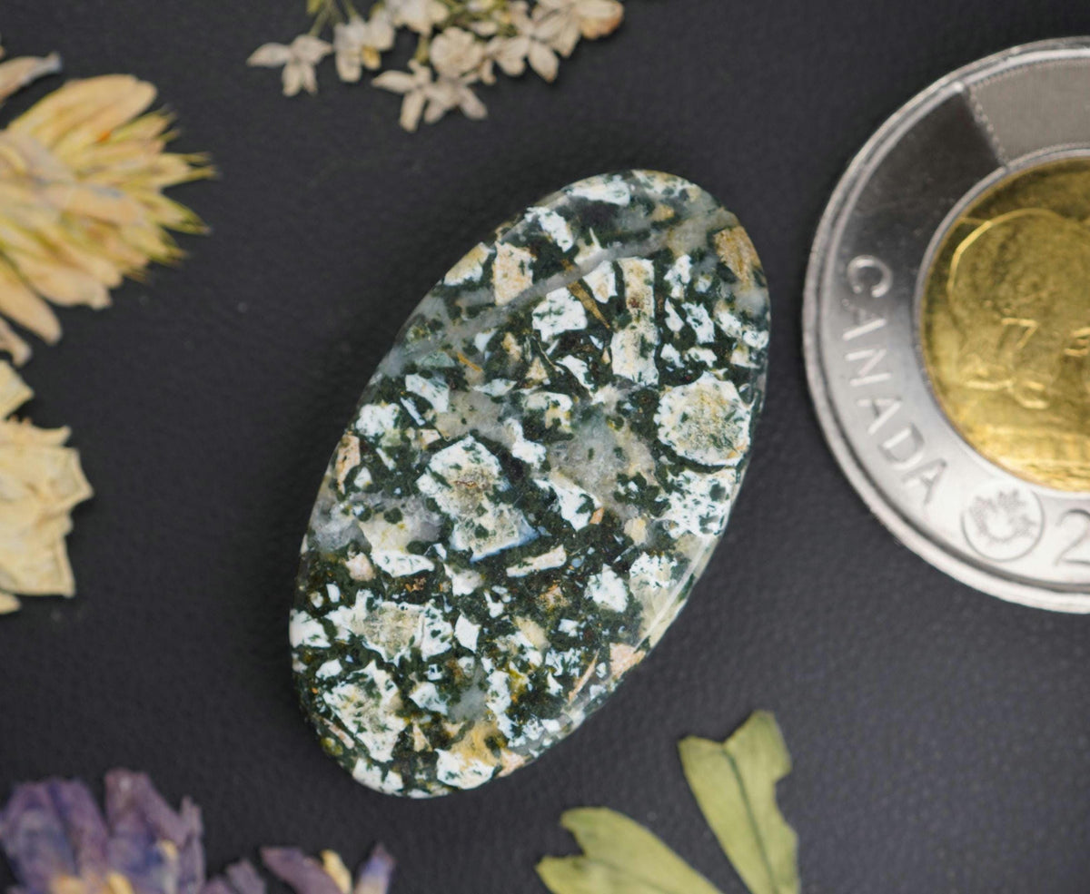 Dallasite Cabochon, 33 x 18.5 mm, Handmade Oval, from British Columbia, Canada