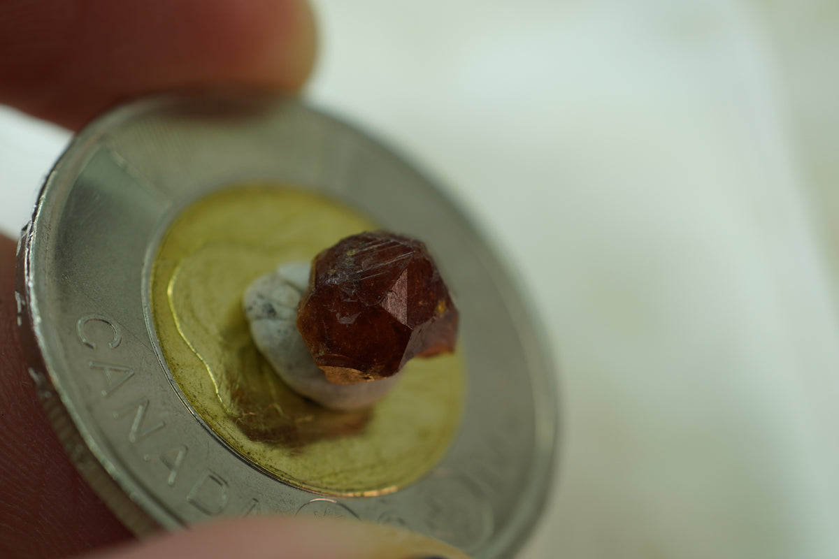 Spessartine Garnet Specimen, 8 × 6 × 5 mm, from British Columbia, Canada