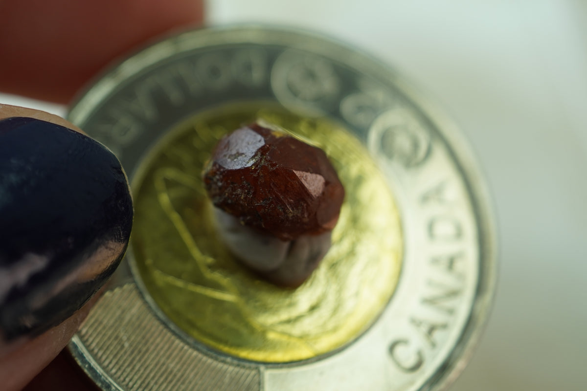 Spessartine Garnet Specimen, 8 × 6 × 5 mm, from British Columbia, Canada