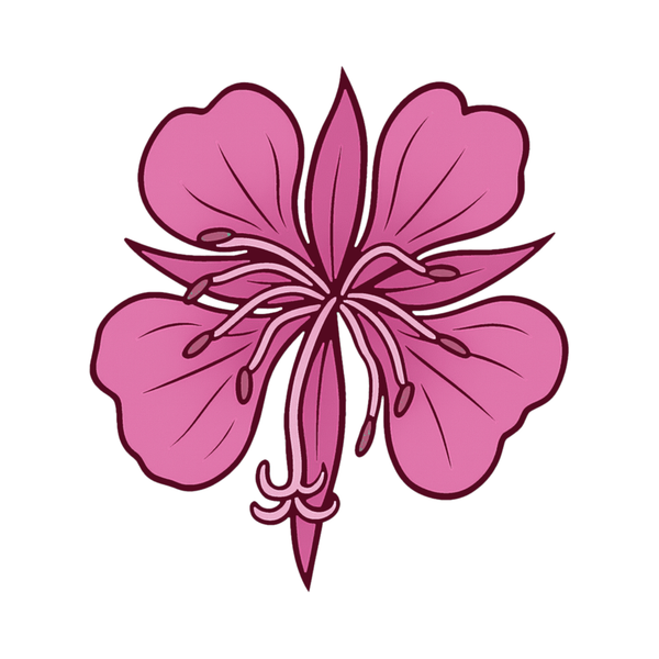 Fireweed Minerals