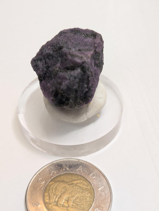 Spécimen de corindon-saphir, 25 x 15 mm, de Terre-Neuve-et-Labrador, Canada