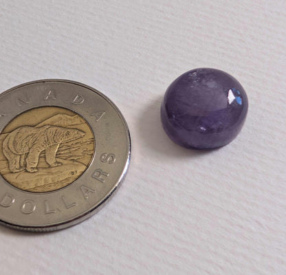 Amethyst Cabochon, 14 x 8 mm, Handmade Round, from Ontario, Canada