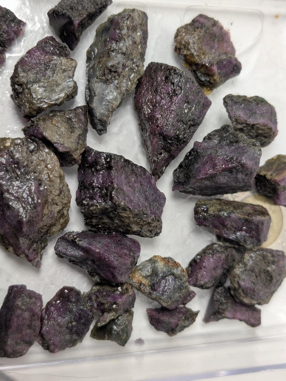 Curated Box of Corundum-Sapphire Rough, from Newfoundland and Labrador, Canada