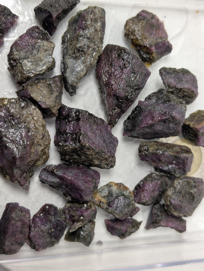 Curated Box of Corundum-Sapphire Rough, from Newfoundland and Labrador, Canada