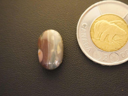 Picture Jasper Cabochon, 16 x 10 mm, Handmade Oval, from Newfoundland and Labrador, Canada