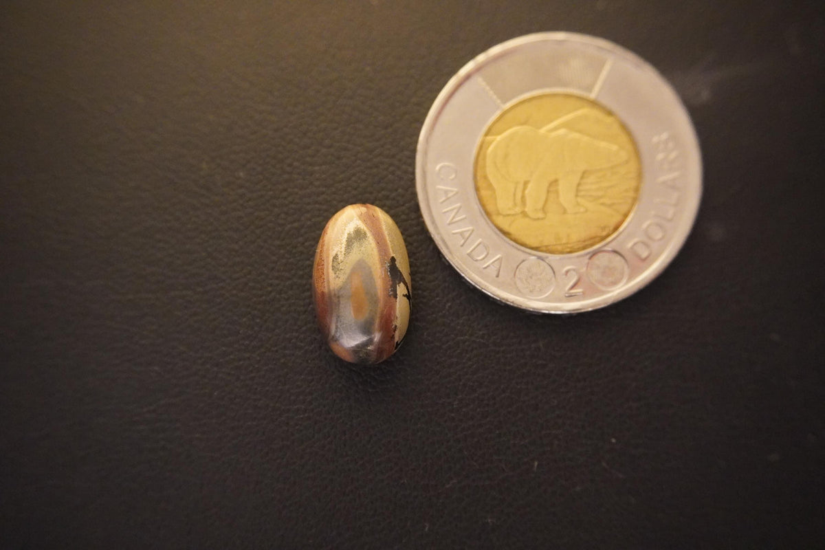 Picture Jasper Cabochon, 14 x 10 mm, Handmade Oval, from Newfoundland and Labrador, Canada