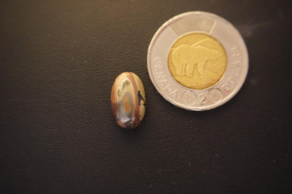 Picture Jasper Cabochon, 14 x 10 mm, Handmade Oval, from Newfoundland and Labrador, Canada