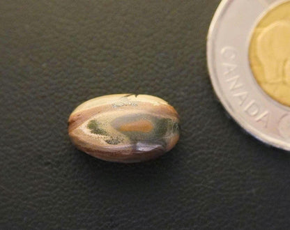 Picture Jasper Cabochon, 14 x 10 mm, Handmade Oval, from Newfoundland and Labrador, Canada
