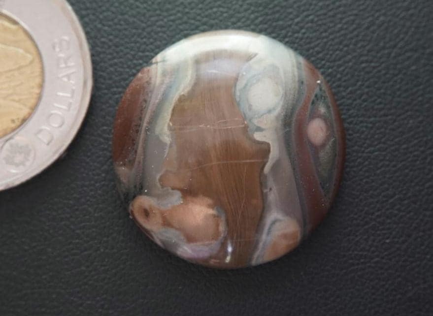 Picture Jasper Cabochon, 28 x 7 mm, Handmade Round, from Newfoundland and Labrador, Canada