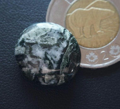 Dallasite Cabochon, 20 x 18 mm, Handmade Round, from British Columbia, Canada