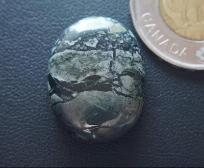Dallasite Cabochon, 25 x 19.5 mm, Handmade Oval, from British Columbia, Canada