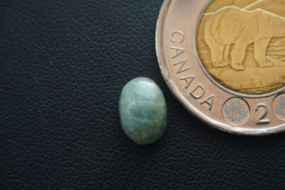 Aquamarine Cabochon, 10 x 7 mm, Handmade Oval, from Newfoundland and Labrador, Canada