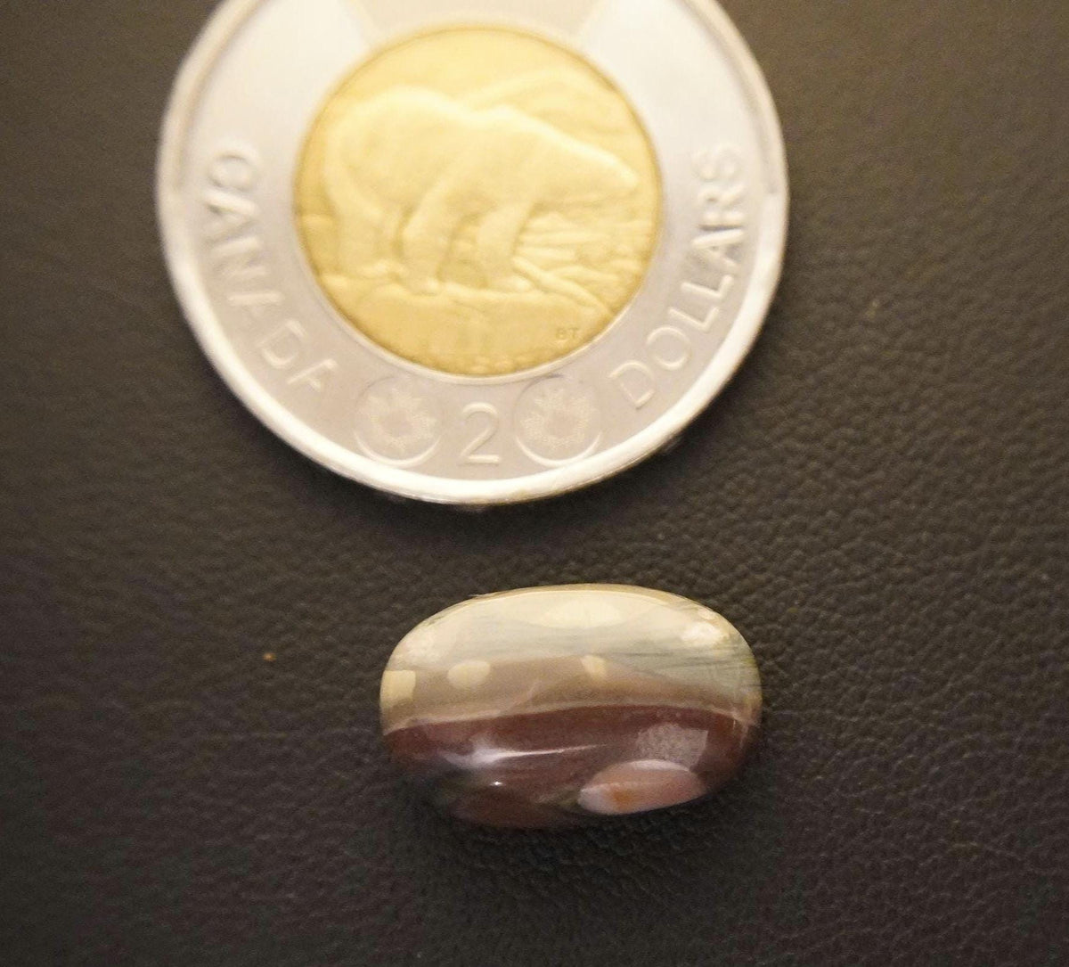 Picture Jasper Cabochon, 16 x 10 mm, Handmade Oval, from Newfoundland and Labrador, Canada