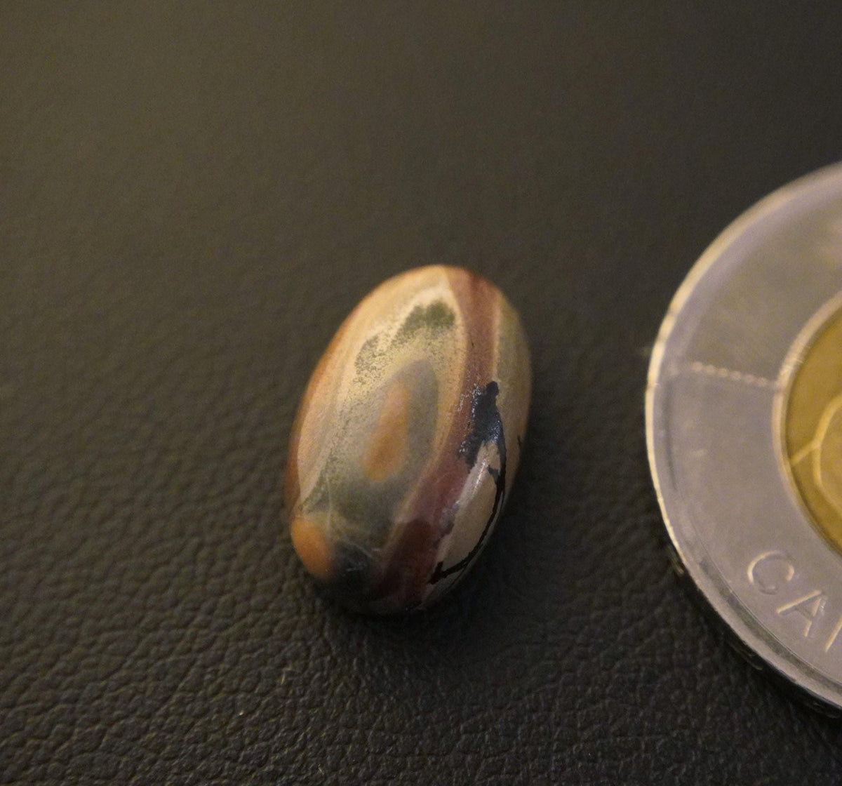 Picture Jasper Cabochon, 14 x 10 mm, Handmade Oval, from Newfoundland and Labrador, Canada