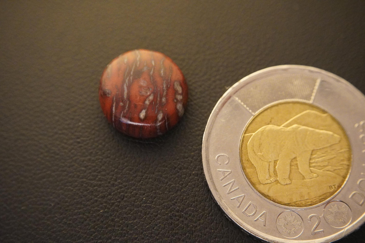 Jasper Cabochon, 14 x 5 mm, Handmade Round, from Newfoundland and Labrador, Canada