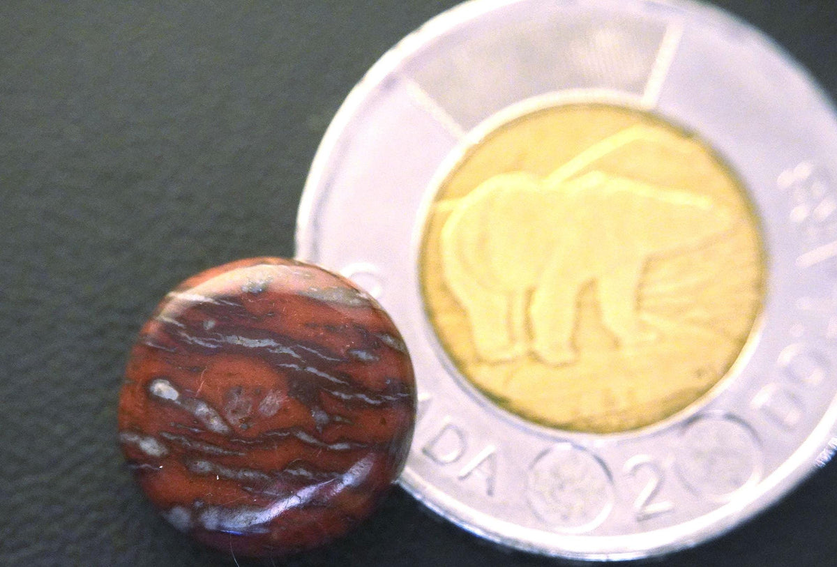 Jasper Cabochon, 14 x 5 mm, Handmade Round, from Newfoundland and Labrador, Canada