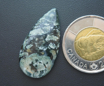 Dallasite Cabochon, 36 x 18 mm, Handmade Pear, from British Columbia, Canada
