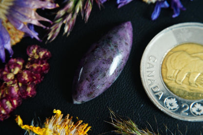 Corundum-Sapphire Cabochon, 29 x 12 mm, Handmade Marquise, from Newfoundland and Labrador, Canada