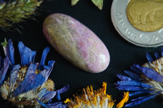 Cabochon en rhodonite, 30 x 14 mm, ovale fait main, de Colombie-Britannique, Canada