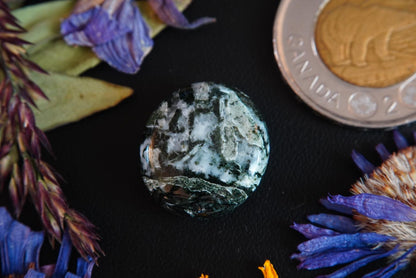 Dallasite Cabochon, 20 x 18 mm, Handmade Round, from British Columbia, Canada