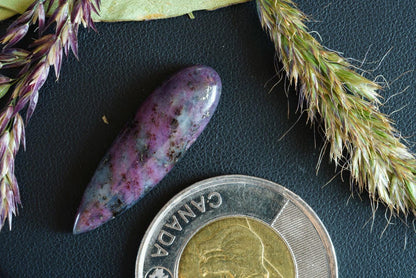 Corundum-Sapphire Cabochon, 30 x 9 mm, Handmade Pear, from Newfoundland and Labrador, Canada