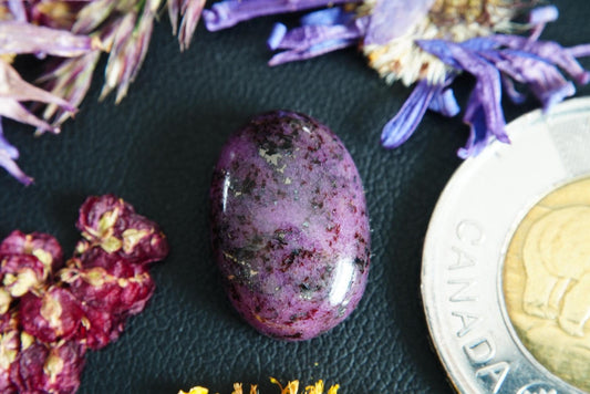 Cabochon de corindon-saphir, 17 x 11 mm, ovale fait main, provenant de Terre-Neuve-et-Labrador, Canada