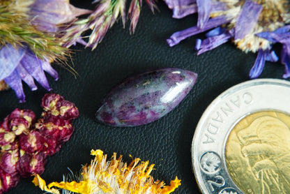 Corundum-Sapphire Cabochon, 21 x 10 mm, Handmade Marquise, from Newfoundland and Labrador, Canada