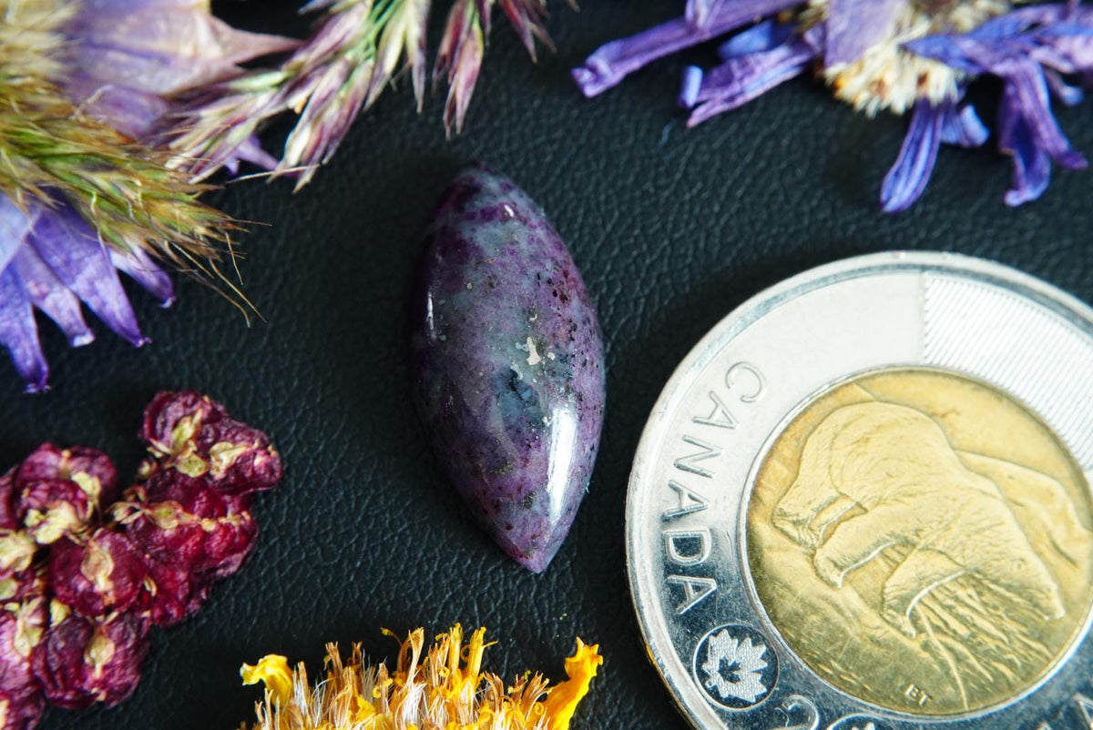 Corundum-Sapphire Cabochon, 21 x 10 mm, Handmade Marquise, from Newfoundland and Labrador, Canada