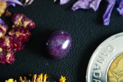 Corundum-Sapphire Cabochon, 9 x 8 mm, Handmade Oval, from Newfoundland and Labrador, Canada