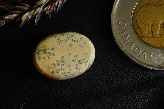 Cabochon en calcaire dolomitique dendritique, 17 x 13 mm, ovale fait main, provenant de la Saskatchewan, Canada