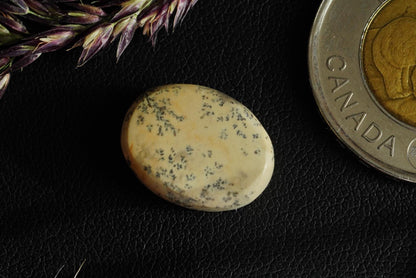 Dendritic Dolomitic Limestone Cabochon, 17 x 13 mm, Handmade Oval, from Saskatchewan, Canada