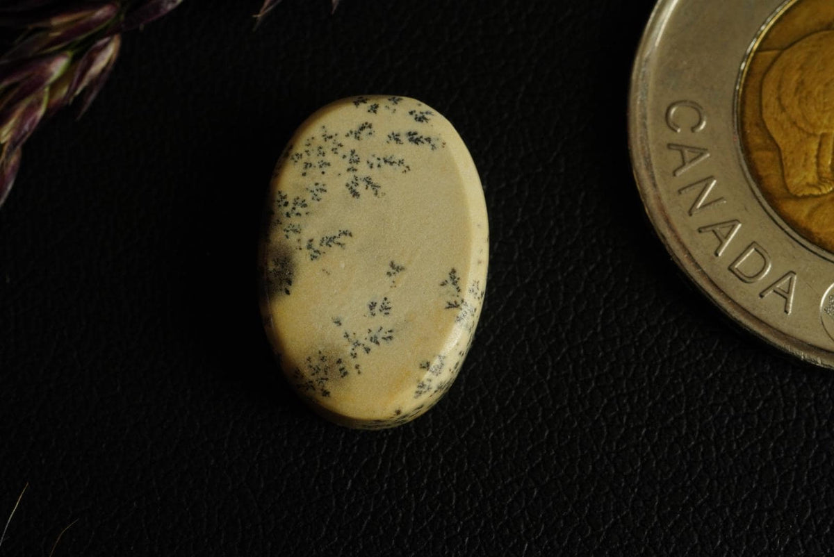 Dendritic Dolomitic Limestone Cabochon, 17 x 12 mm, Handmade Oval, from Saskatchewan, Canada