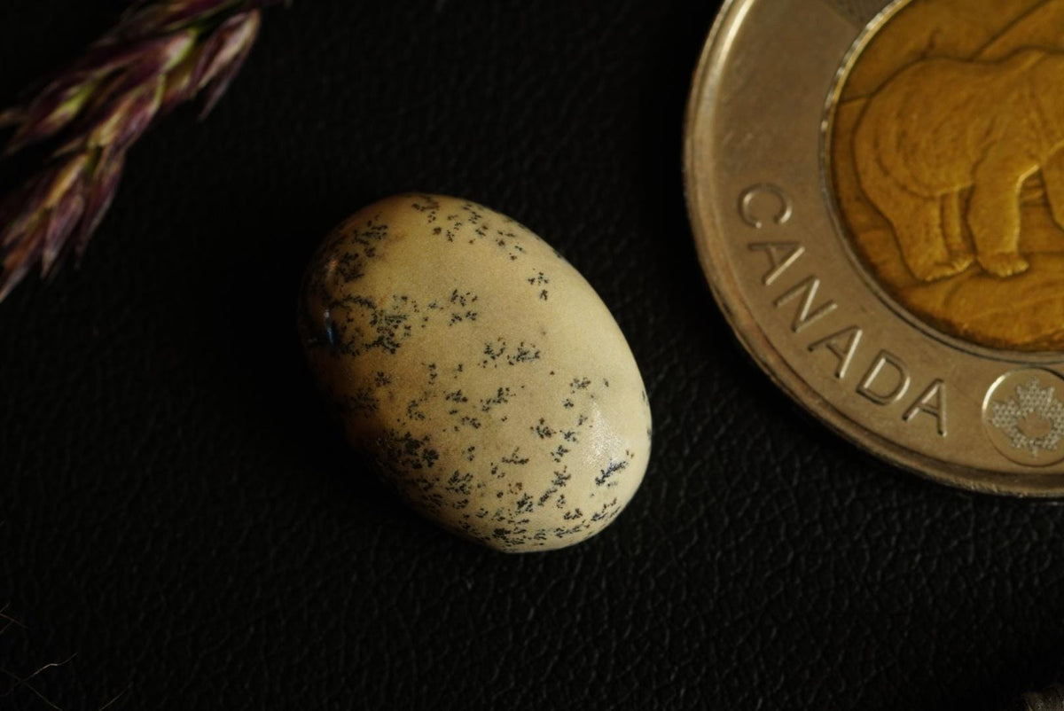 Dendritic Dolomitic Limestone Cabochon, 16 x 11 mm, Handmade Oval, from Saskatchewan, Canada