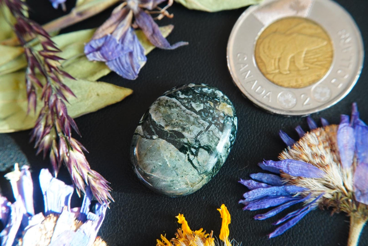 Dallasite Cabochon, 25 x 19.5 mm, Handmade Oval, from British Columbia, Canada