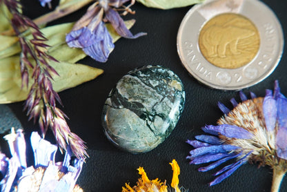 Dallasite Cabochon, 25 x 19.5 mm, Handmade Oval, from British Columbia, Canada