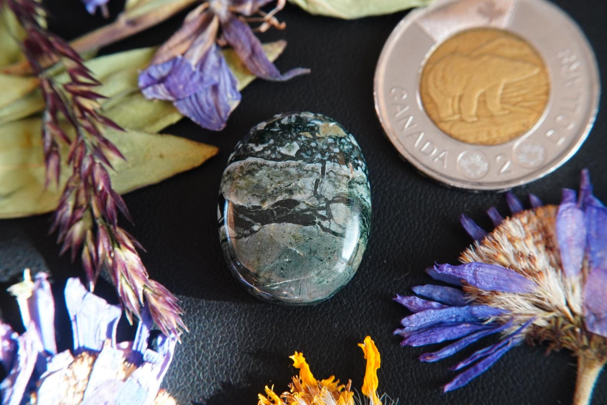 Dallasite Cabochon, 25 x 19.5 mm, Handmade Oval, from British Columbia, Canada
