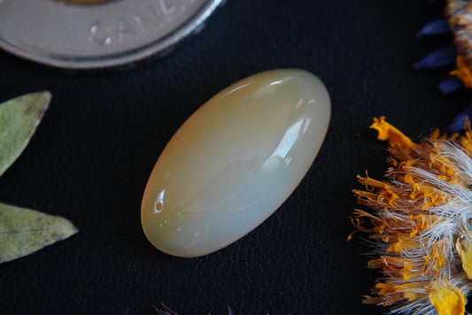 Cabochon en agate cornaline, 20 x 11 mm, ovale fait main, de Colombie-Britannique, Canada