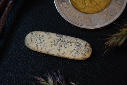 Dendritic Dolomitic Limestone Cabochon, 25 x 8 mm, Handmade Oval, from Saskatchewan, Canada