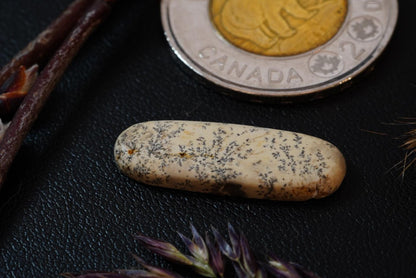 Dendritic Dolomitic Limestone Cabochon, 25 x 8 mm, Handmade Oval, from Saskatchewan, Canada