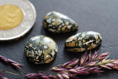 Dallasite Cabochons, Set of 3, from British Columbia, Canada