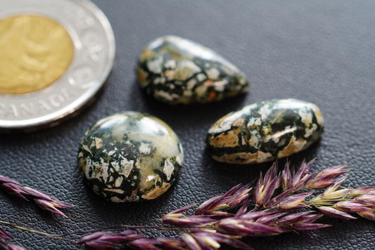 Cabochons en dallasite, lot de 3, provenant de Colombie-Britannique, Canada