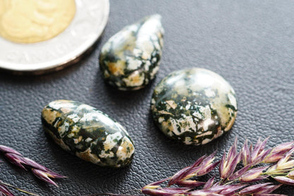 Dallasite Cabochons, Set of 3, from British Columbia, Canada