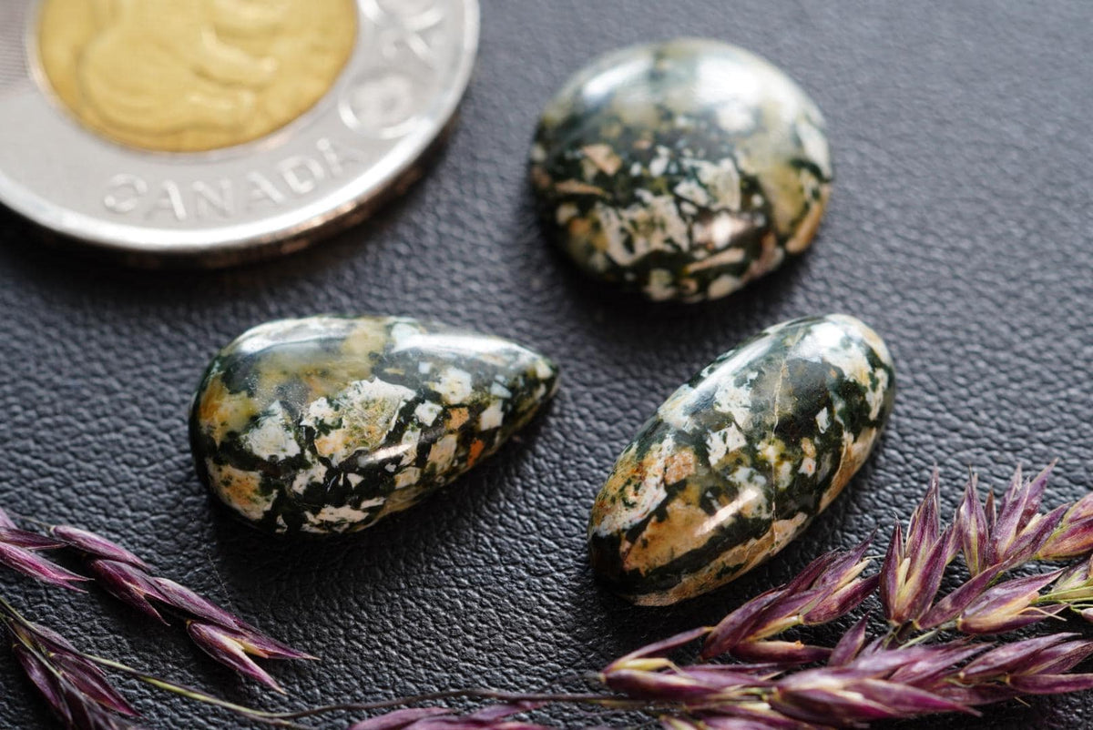 Dallasite Cabochons, Set of 3, from British Columbia, Canada